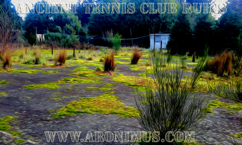 Ancient Ruins of The Eketahuna Tennis Club